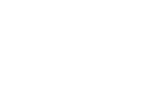 Spitfire icon.