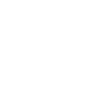 Roundel